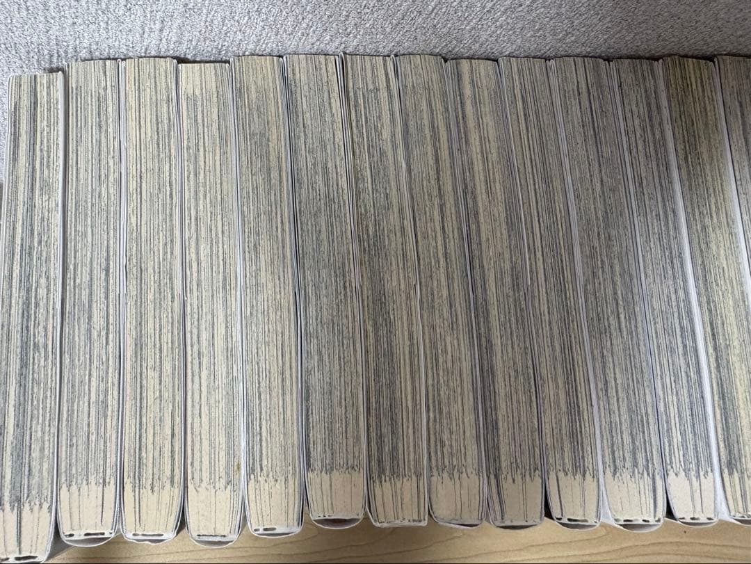文庫ストレイドッグス2〜24巻・関連書籍セット