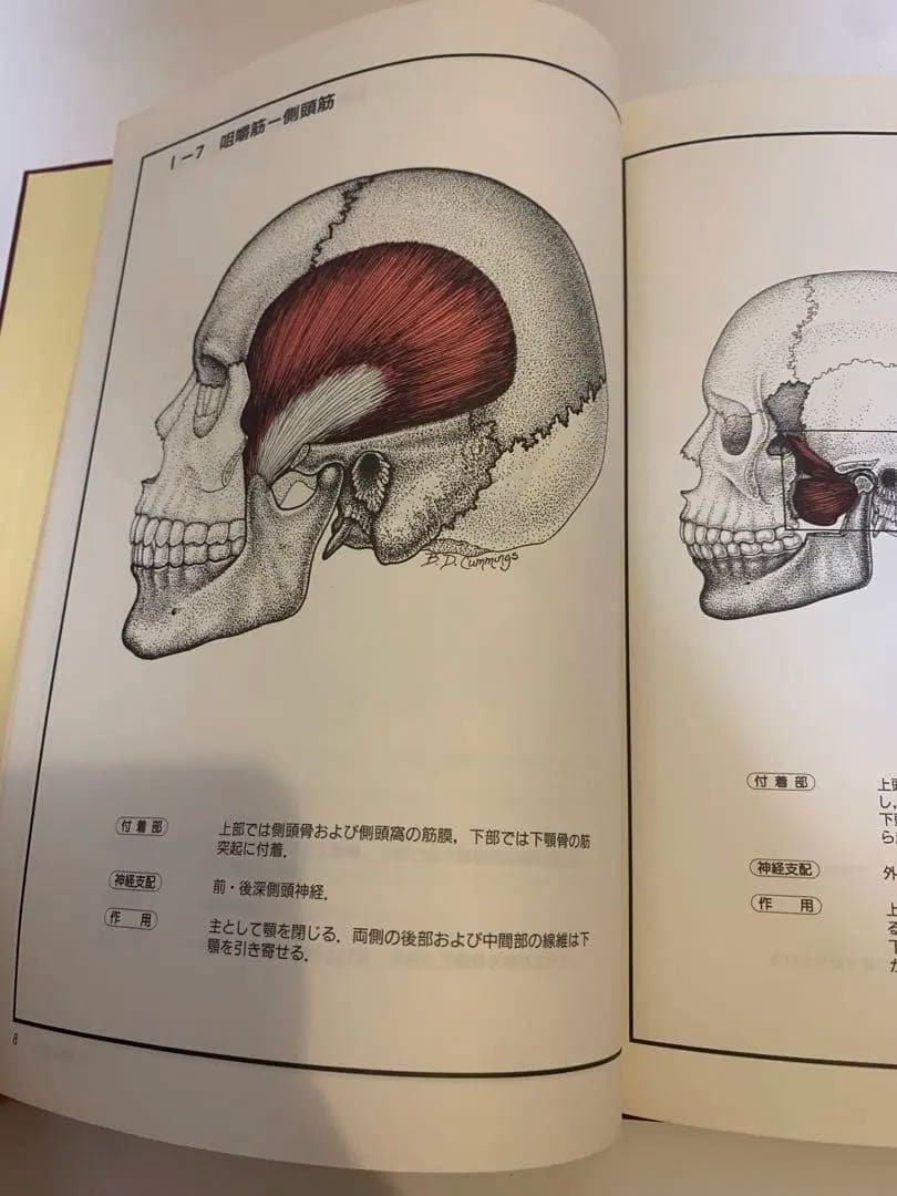 【匿名発送】チャートブック　骨格筋の解剖 エンタプライズ　川原群大編著