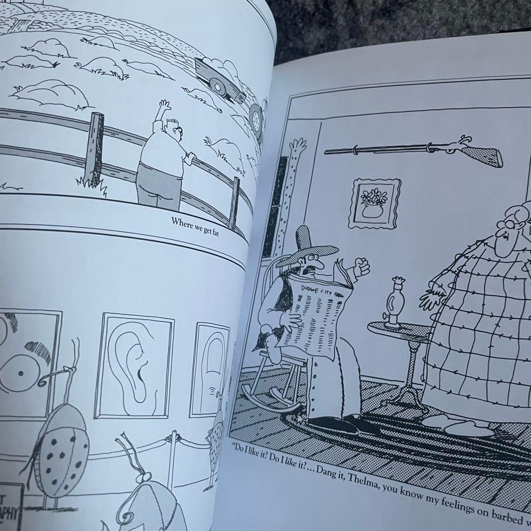 Gary Larson ゲイリーラーソン 洋書 アート 80年代 90年代
