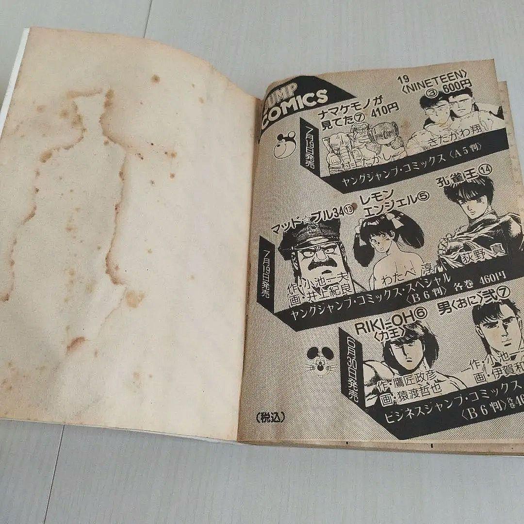 「孔雀王シリーズ」孔雀王17巻．退魔聖伝11巻．曲神紀12巻【全巻40冊セット】