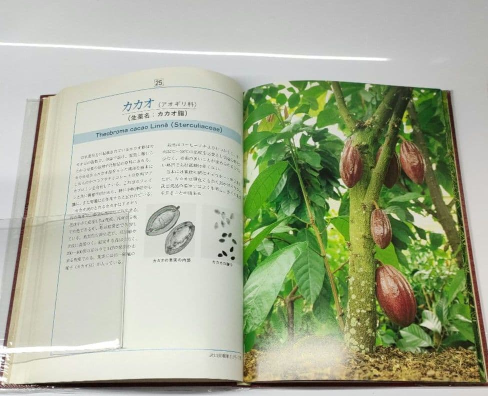 【非売品 第1版】 薬用植物 武田薬報400年記念号 武田薬品 ブックカバー付き