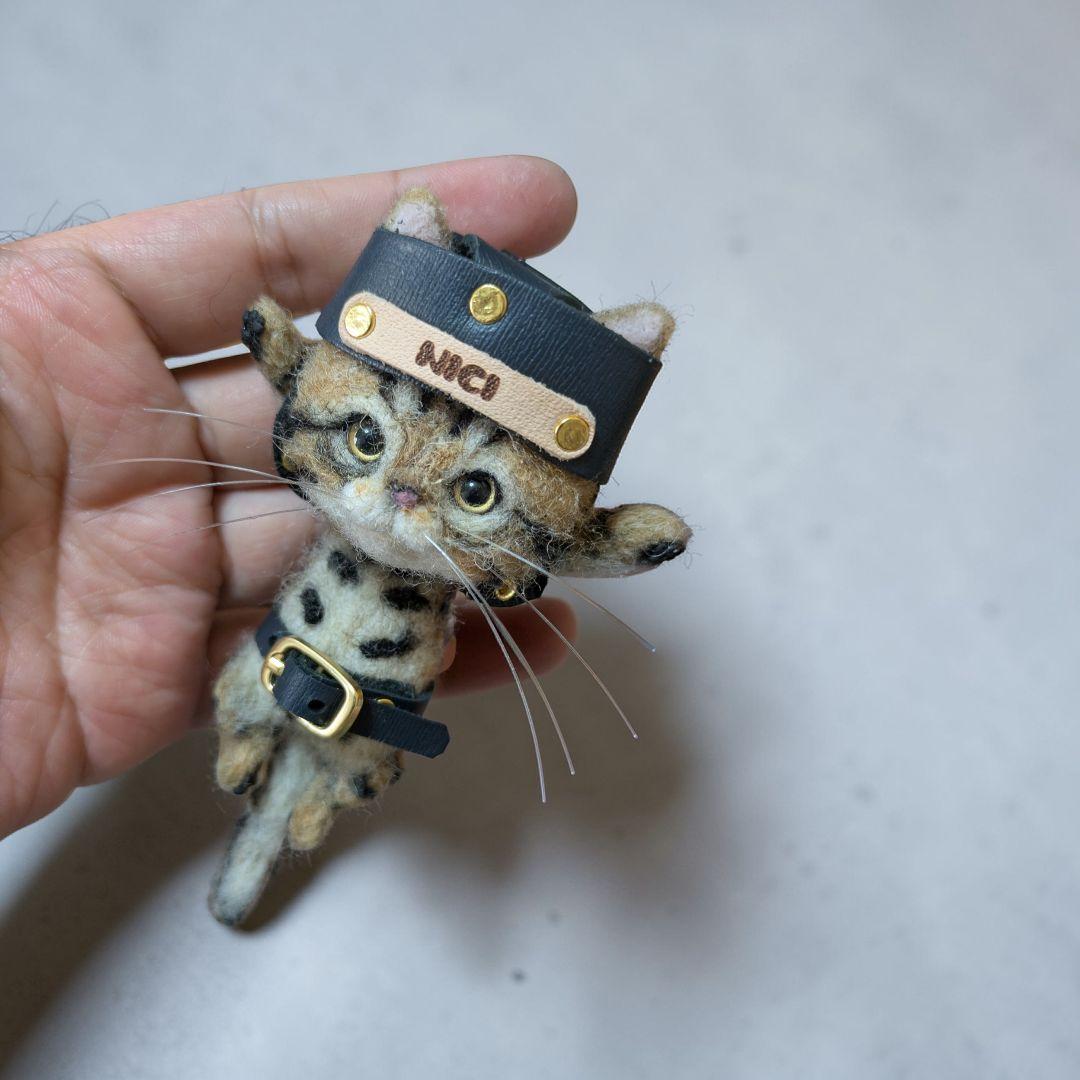 Catherine✩⋆*॰¨̮⋆。˚出品 豆猫PECO-LIN