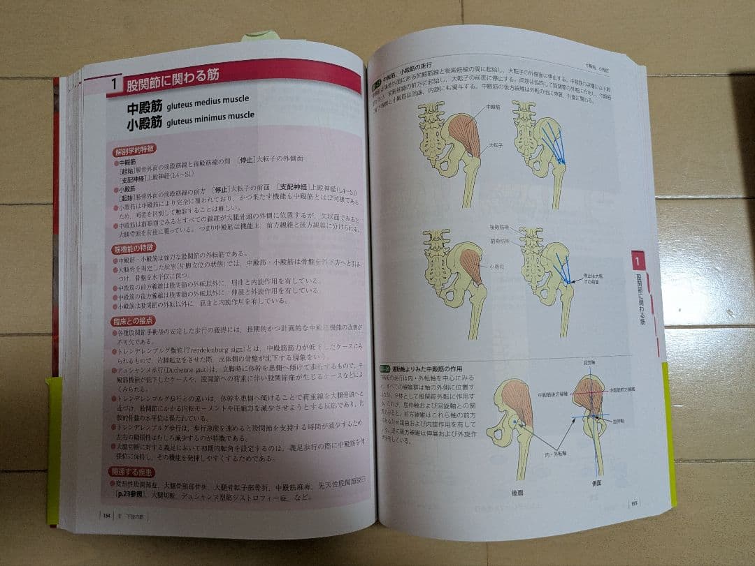 【完全新品・未使用】理学療法士科 教科書14冊セット　令和5年購入　国家試験対応