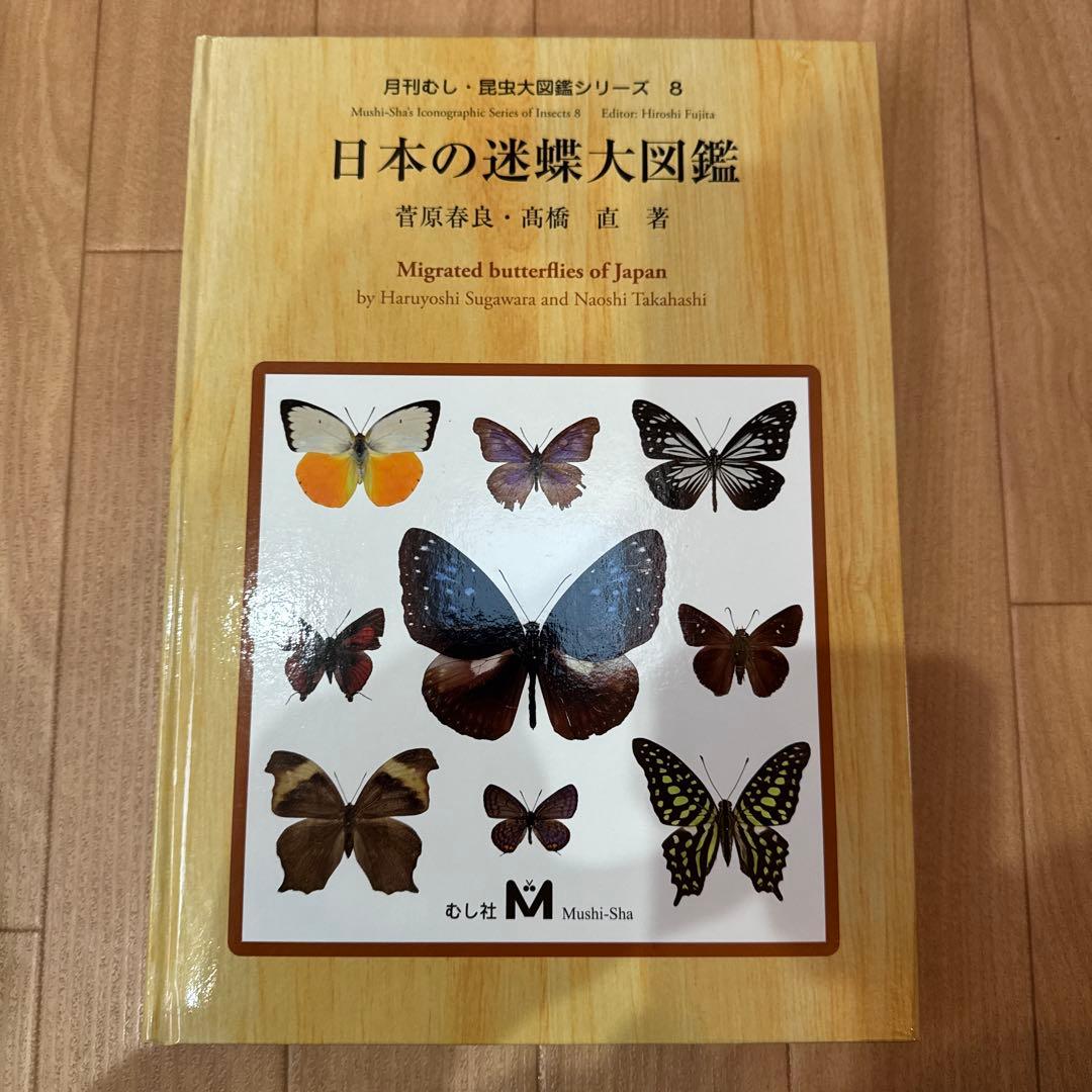 日本の迷蝶大図鑑