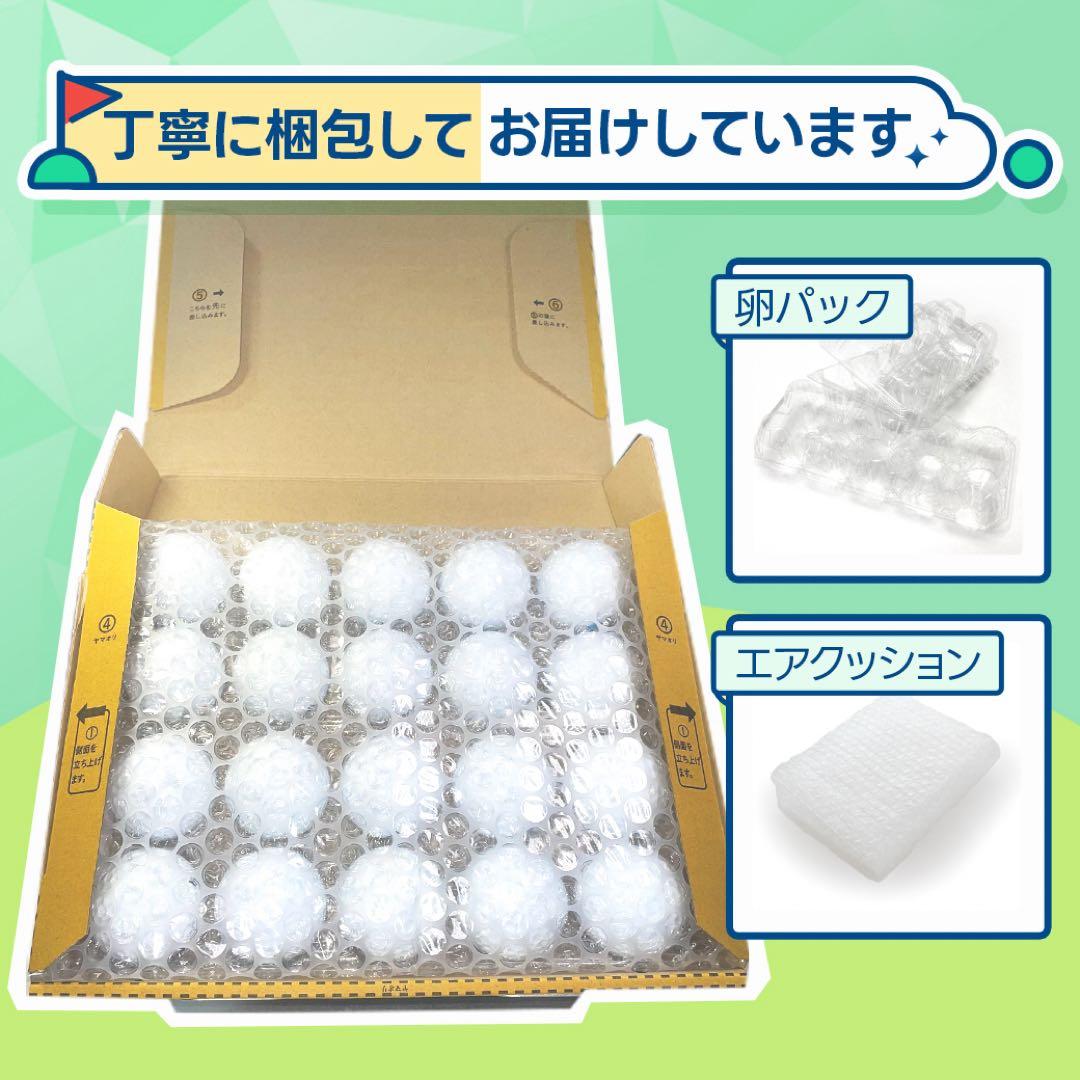 ロストボール タイトリスト PRO V1 20球 Sランク 876おまけtee付