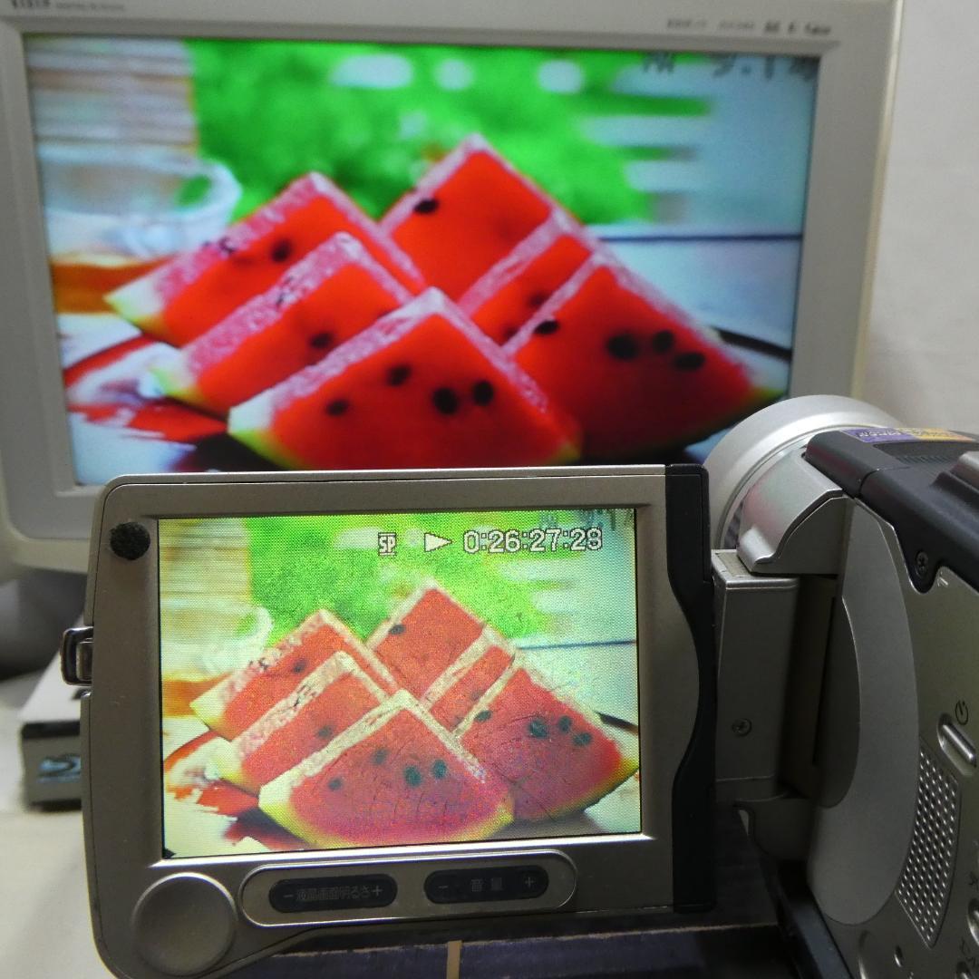 ソニーDCR-TRV30 【動作良好】MiniDV ビデオカメラ　ダビングに最適