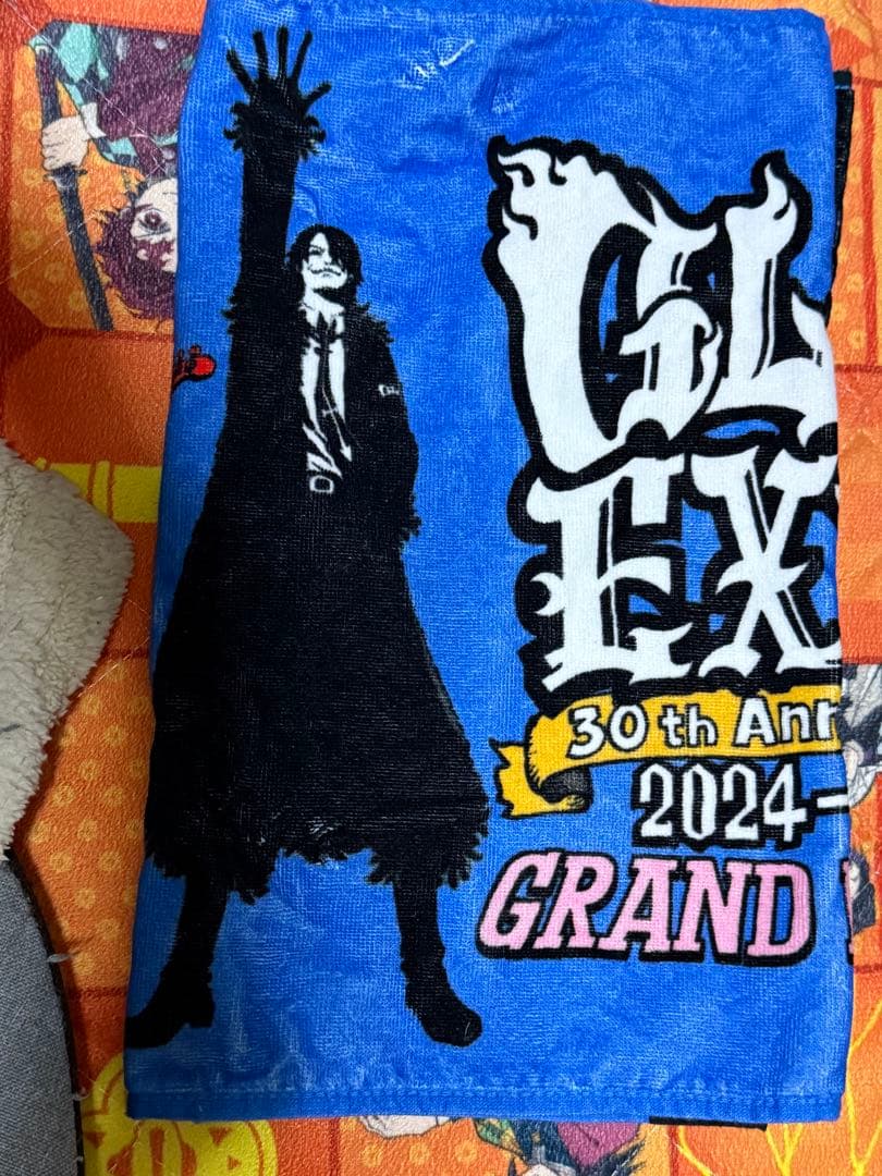 GLAY EXPO 2024-2025 パンフレット＋マフラータオル