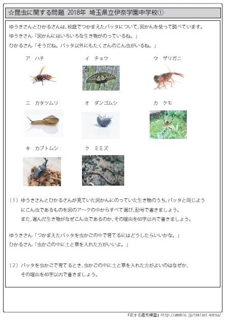 横浜市立南高等学校附属中学校版 志望校別お買い得セット