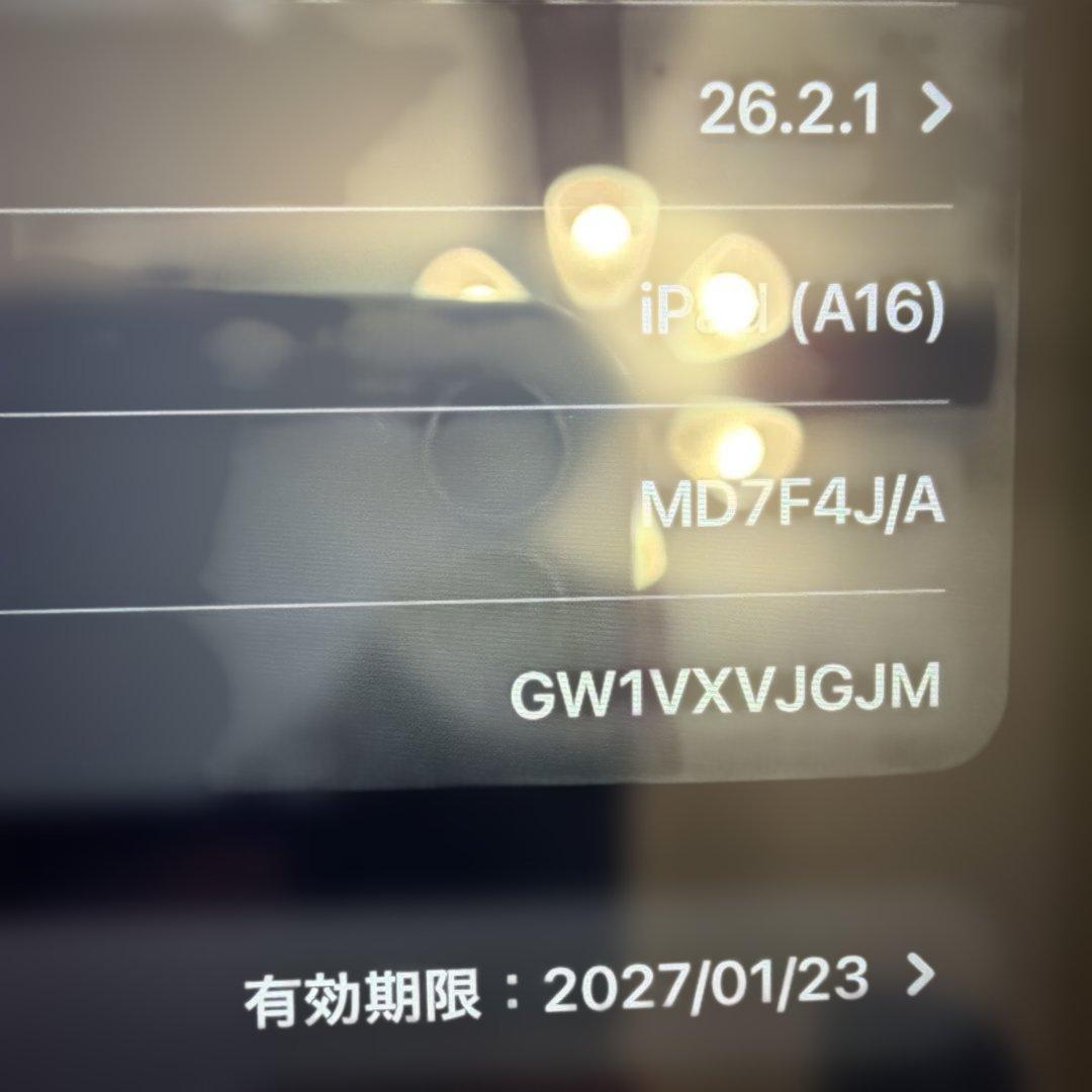 iPad (A16) Wi-Fi + Cellular 128GB シルバーau