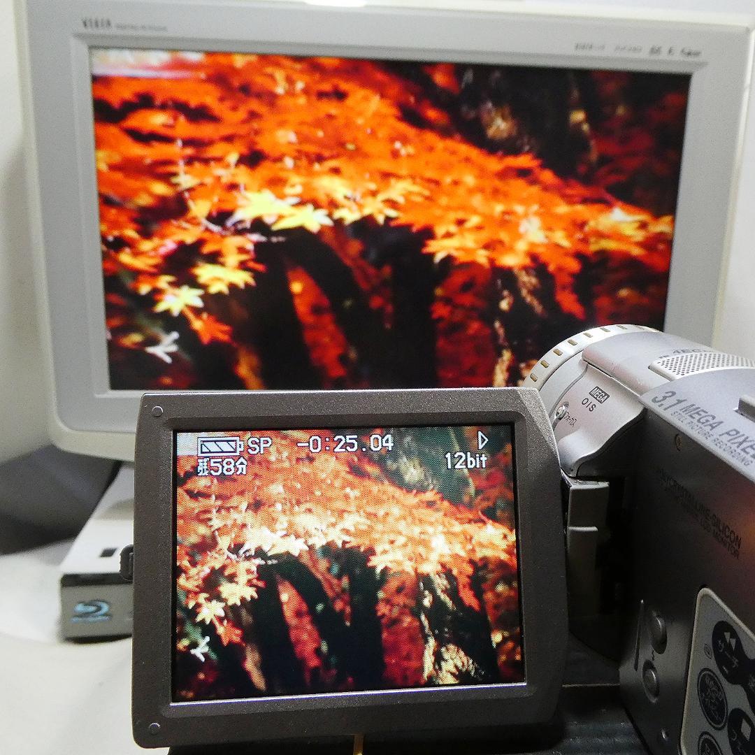 パナソニック NV-GS100【動作良好】 MiniDVビデオ　ダビングに最適
