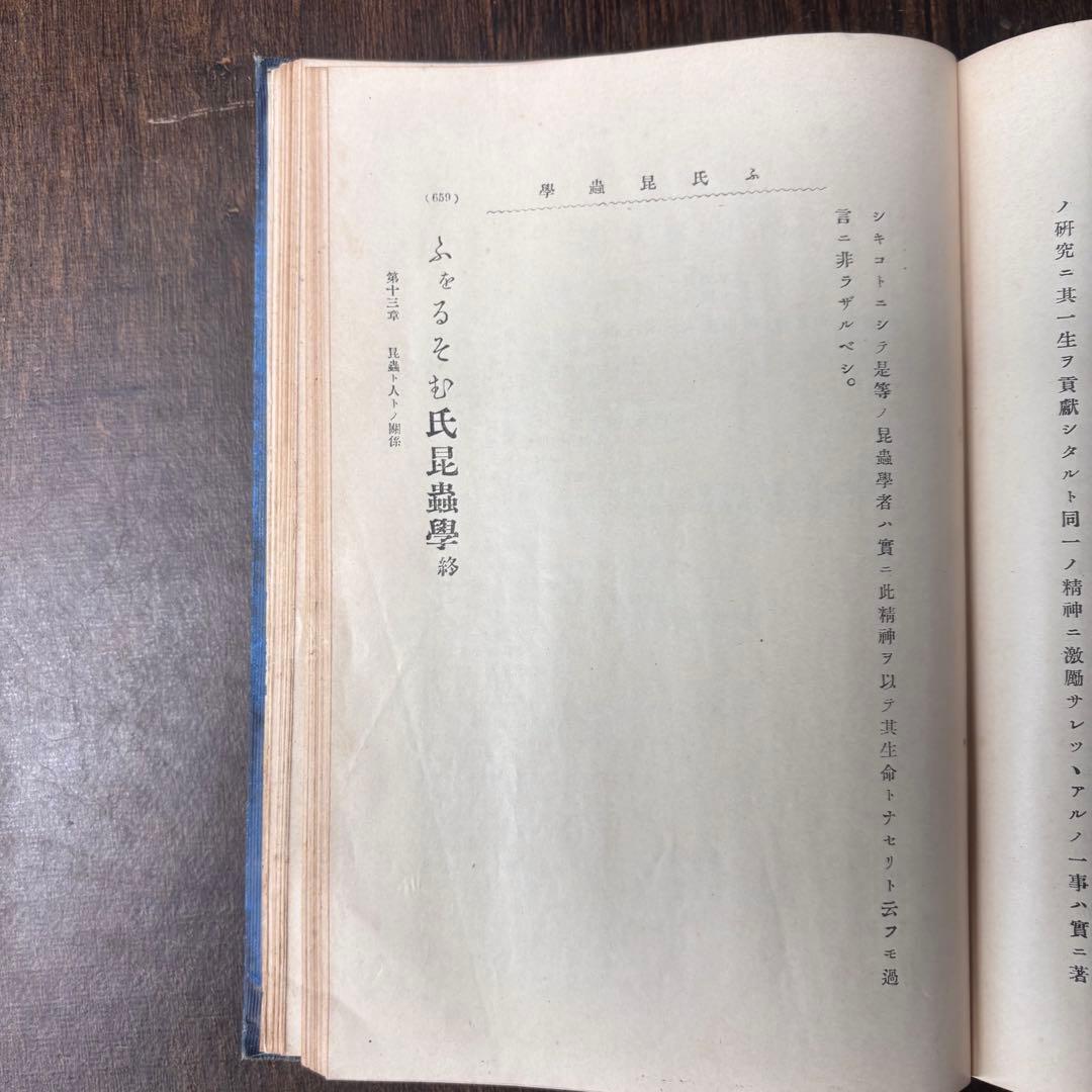 戦前古書　ふをるそむ氏　昆蟲学　貴重　レア　戦前　明治時代