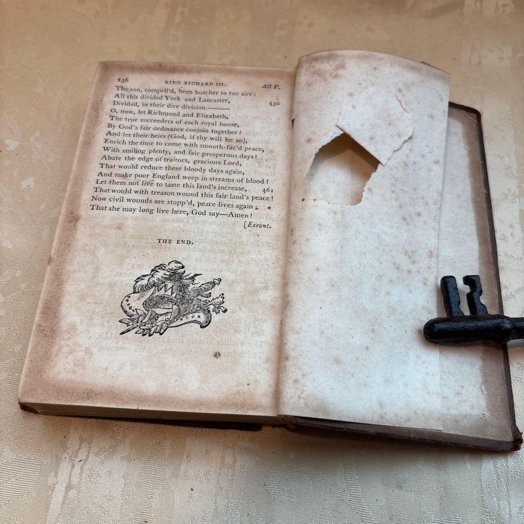 アンティーク　ビンテージ　フランス語　洋書　古書　洋古書