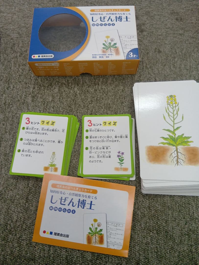 理英会　博士シリーズ教具　カード/つみき/プレート　6種類　中古