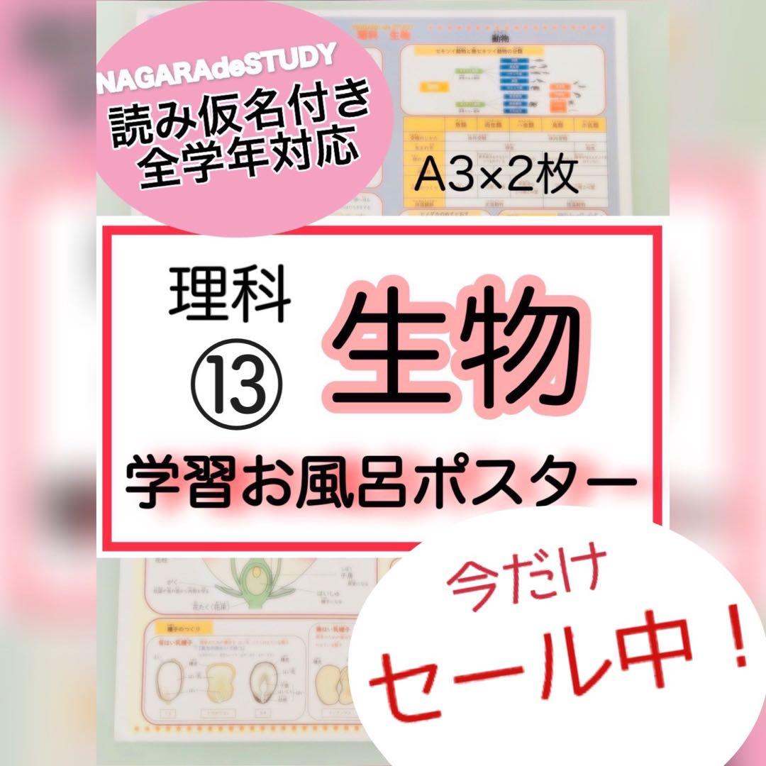 P.L.K.T.C 無言取引もOK様 ①③④⑫⑬リクエスト 5点 まとめ商品