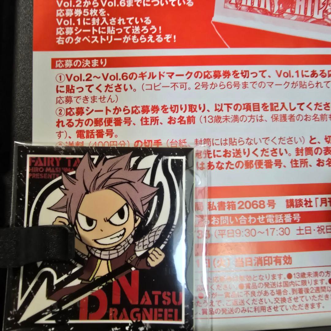 月刊 FAIRY TAIL マガジン 1-13巻