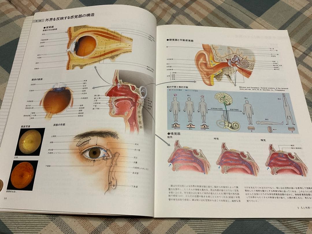 ナースが視る病気と、ナースが視る人体（医学書）講談社。【これから医師を目指す方】