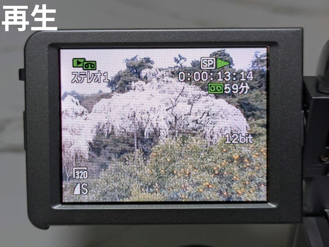 Canon　DM-IXY DV M5　MiniDV　ビデオカメラ