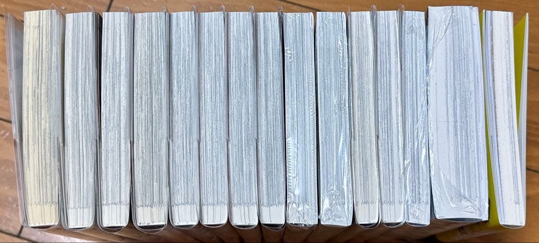 ブルースカイコンプレックス　アニメイト　特装版　小冊子