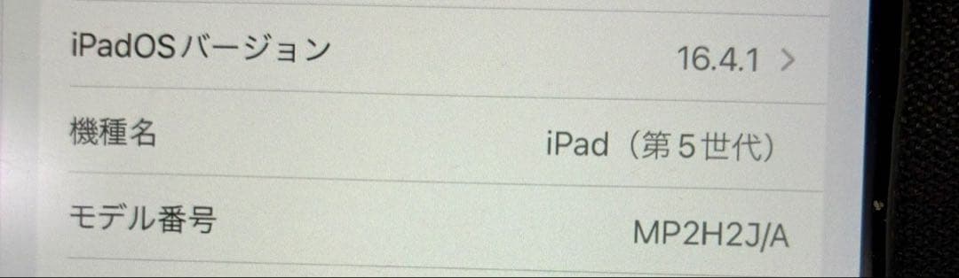 入*野様 iPad 第5世代