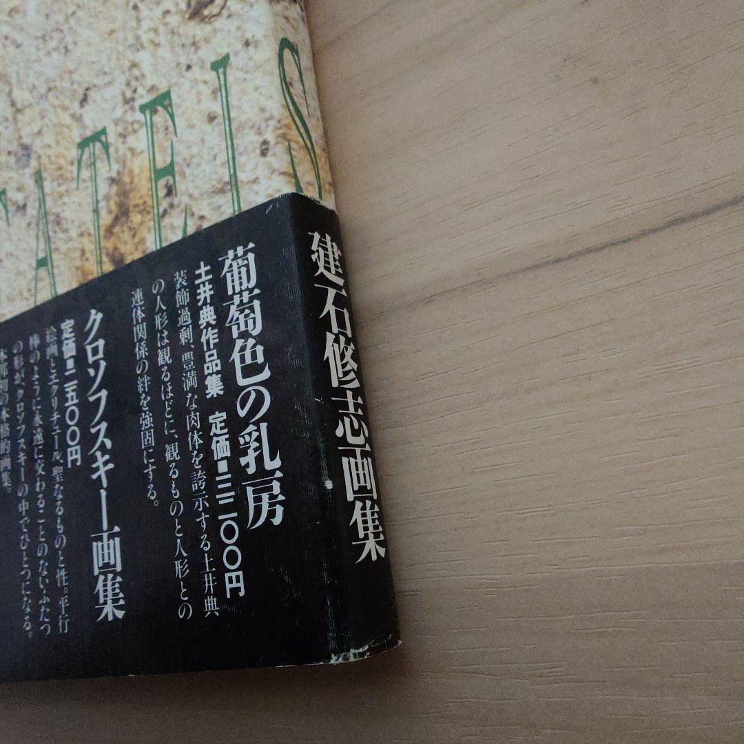 標本箱の少年 建石修志 画集