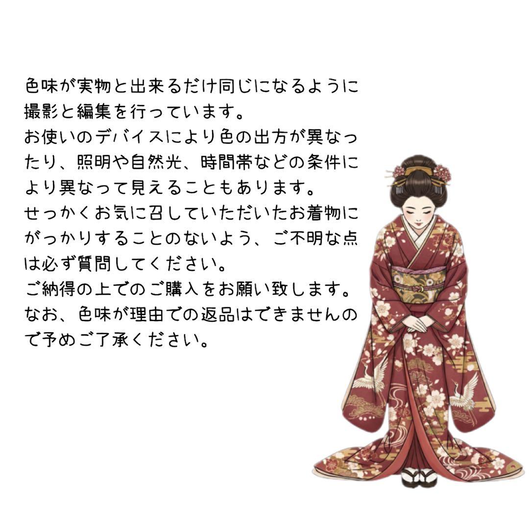 極上　美品振袖フルセット　手挿し友禅　正絹長襦袢　古典柄　成人式　155〜165