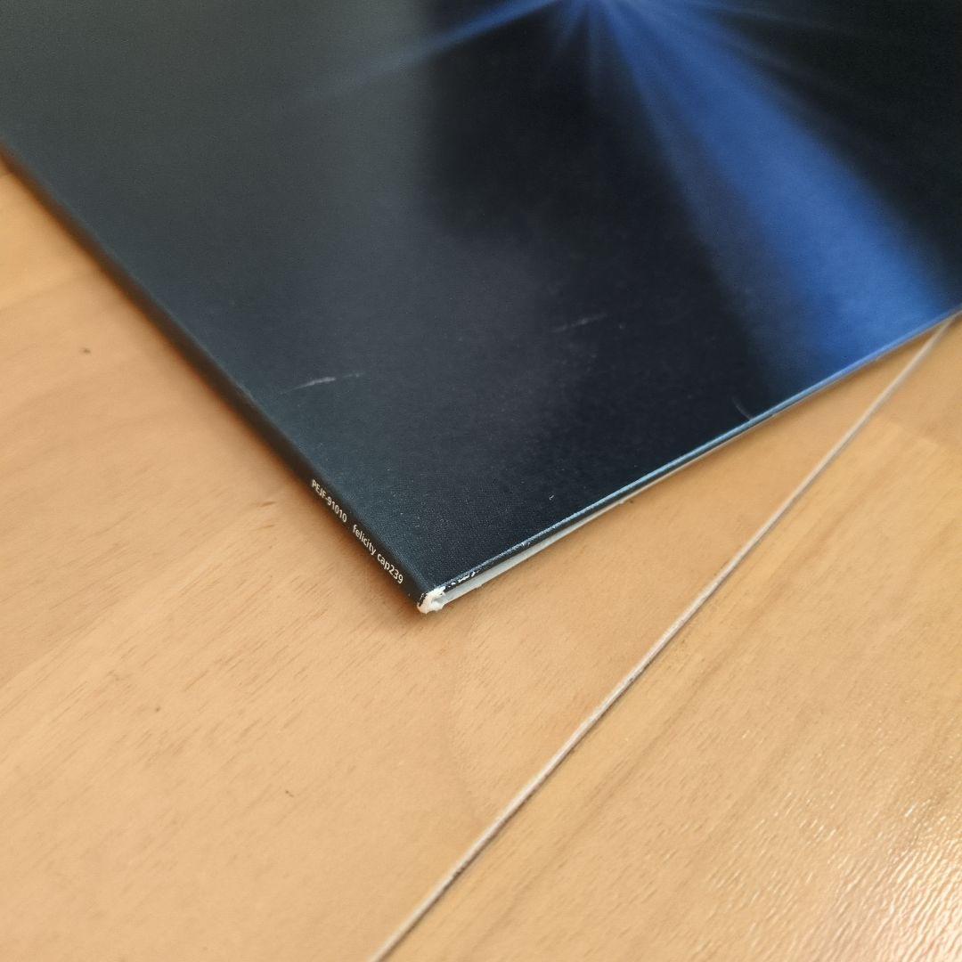 王舟レコード2枚セット