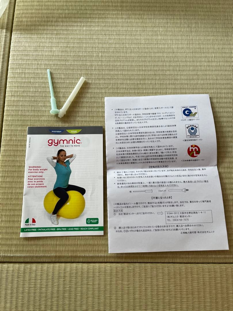 Gymnic PhysioRoll ギムニク フィジオロール 40cm