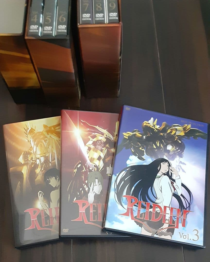 ライディーン　 DVD　９巻セット