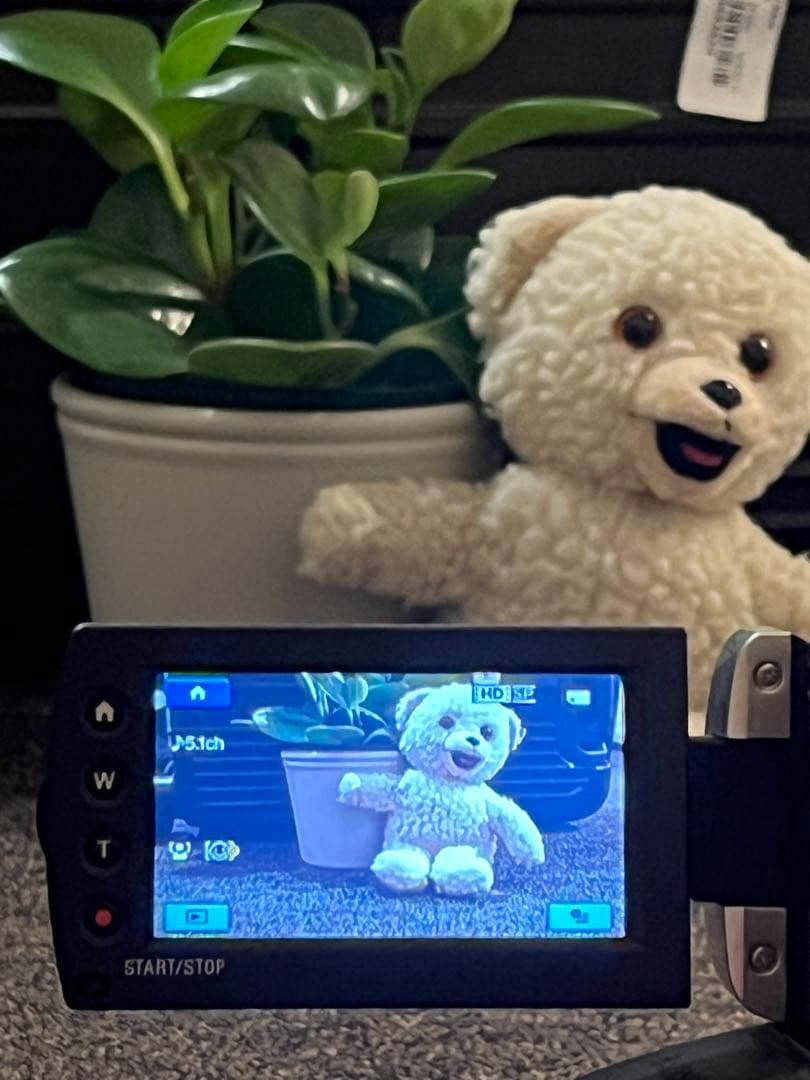 ビデオカメラ Sony Handycam HDR-CX12