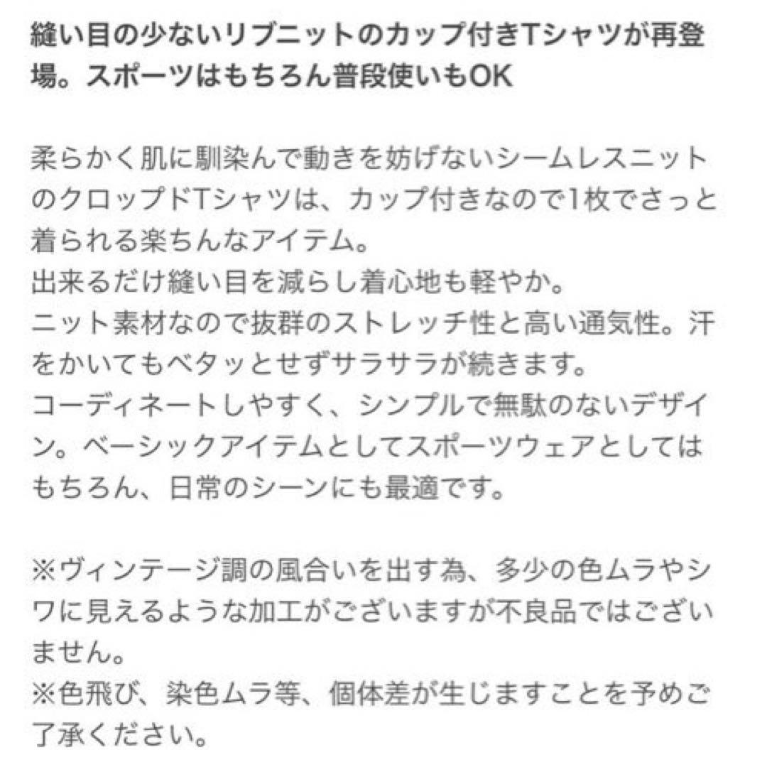 最終値下げ★LAVA SUKALA アクティブクロップドトップス　美品