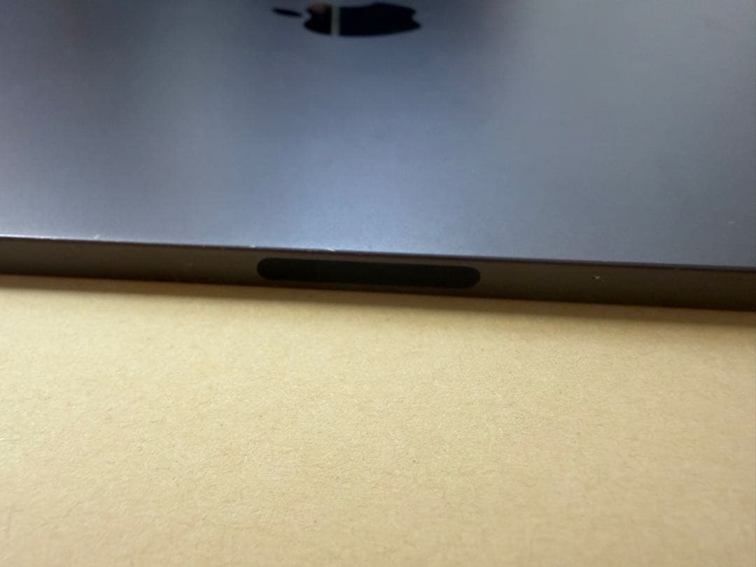 iPad Pro 11インチ 第2世代 256GB wifi+cellular