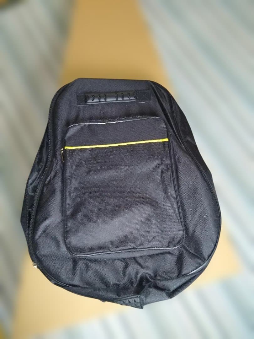 PLAYTECH SA500 Natural (美品)セミアコタイプ
