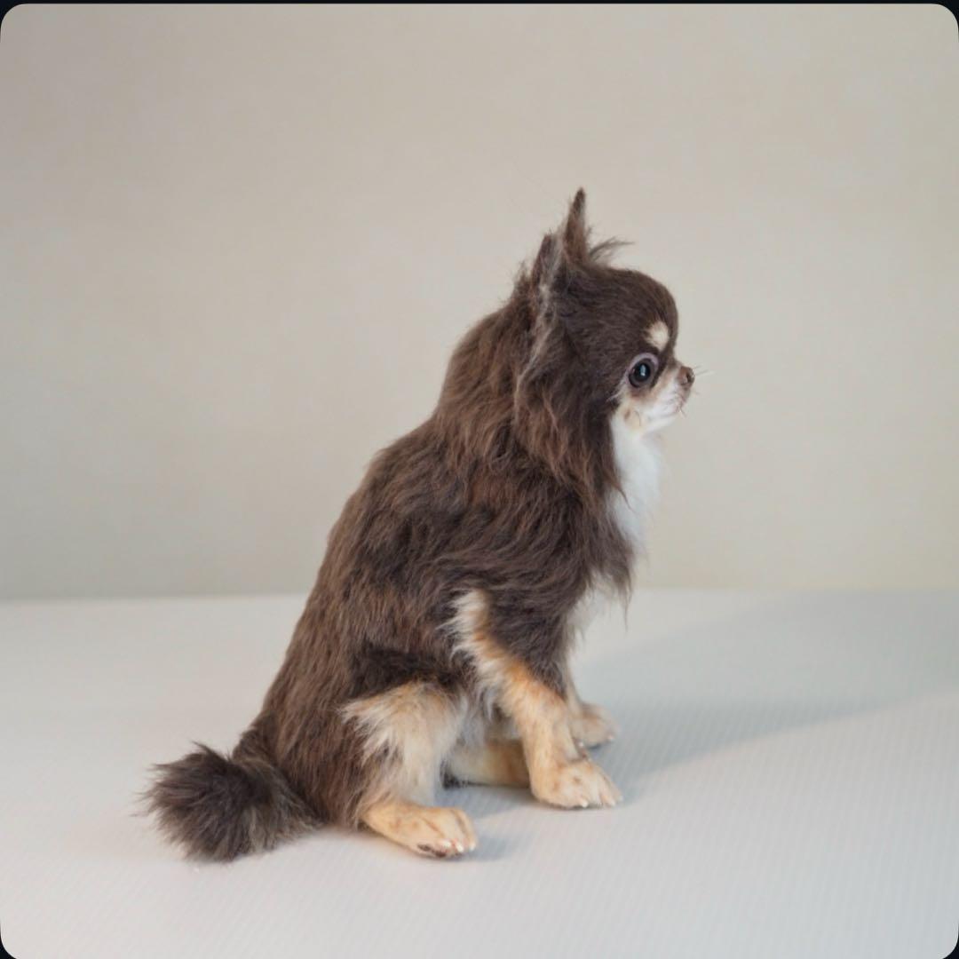 羊毛フェルト　チョコタンチワワ　やる気ないお座りポーズ　犬　チワワ　一点物