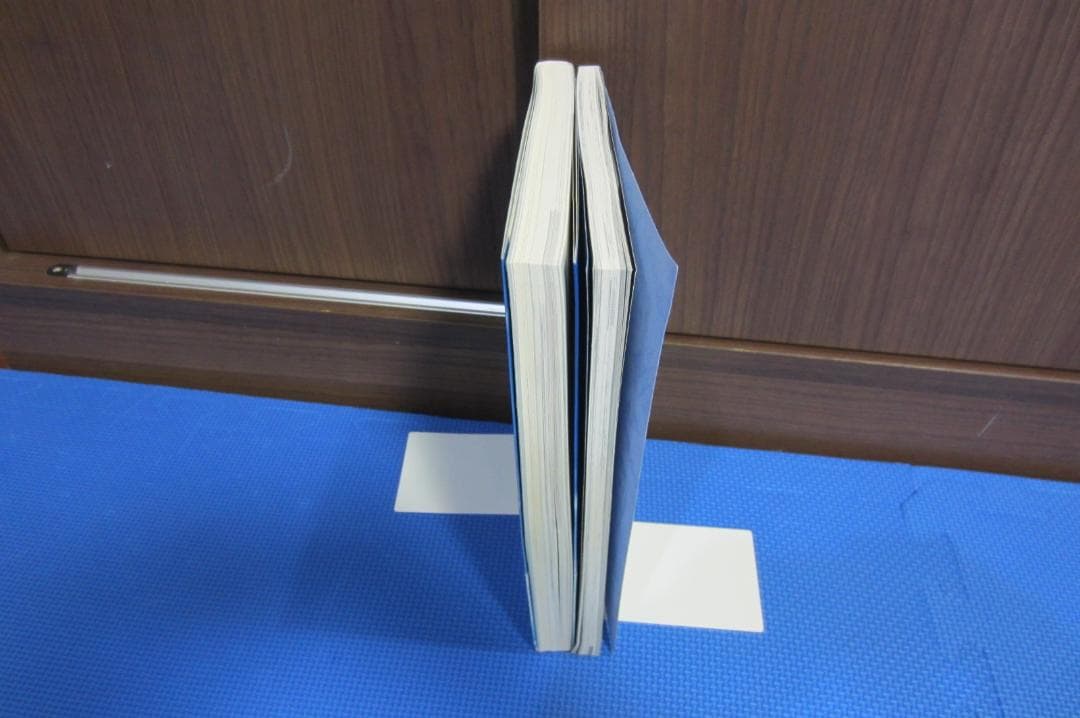 月姫 読本(青本) 改訂版＆月姫読本　plus period　2冊セット