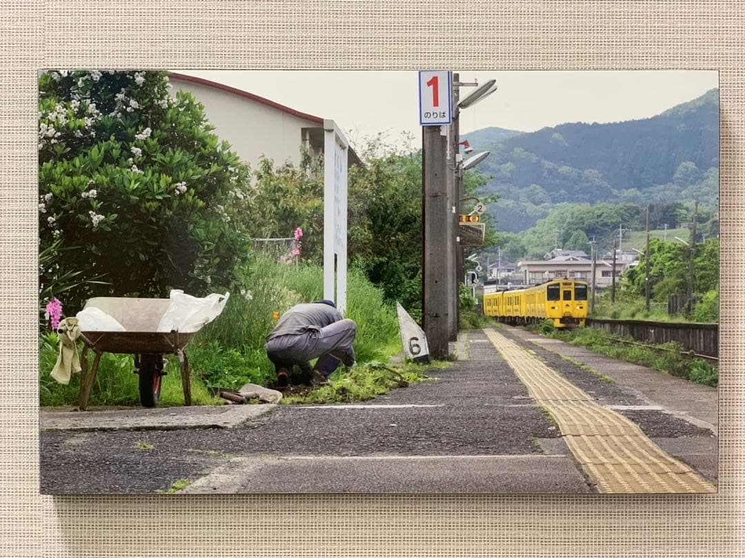 写真