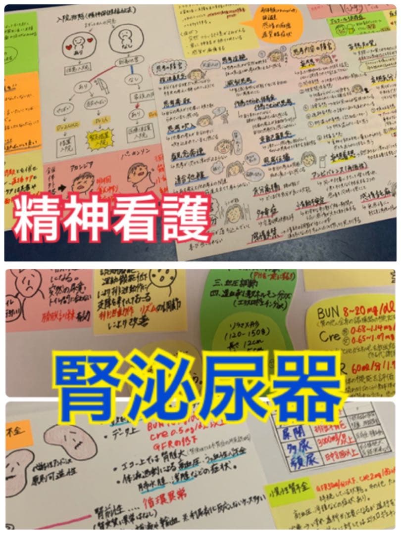 【セール価格】まとめ価格！看護師国家試験対策 暗記カード　解剖生理 付箋ノート