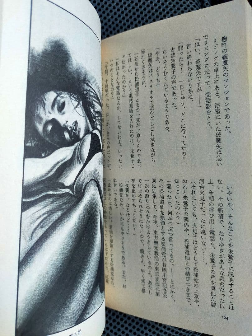 南里征典 / 魔界淫殺行 (TOKUMA NOVELS)