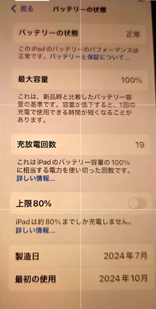 極美品☆AppleiPadmini ・WiFi + Cellularモデル
