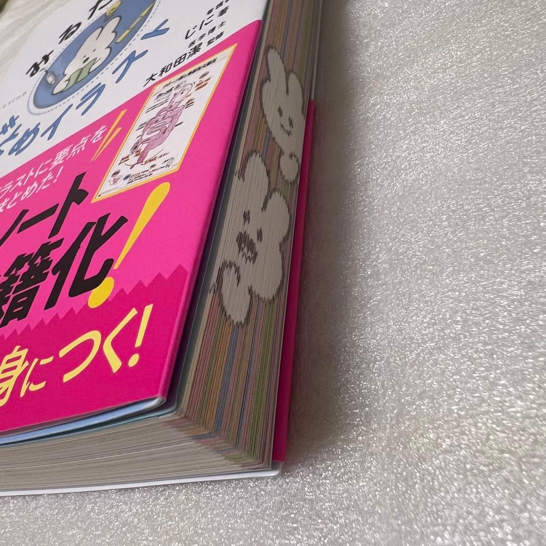 看護学生！！　参考書　本　プチナース　解剖生理　薬理学　実習　疾患　病態　関連図