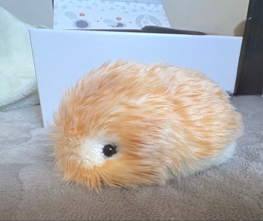 えりごり。ページ