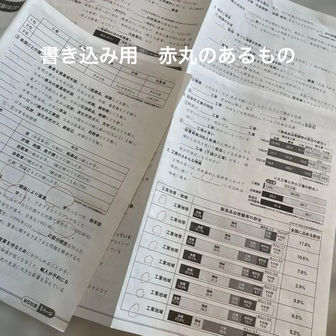 サピックス小6　社会 土曜特訓「知識の総完成」全36回（欠番なし）