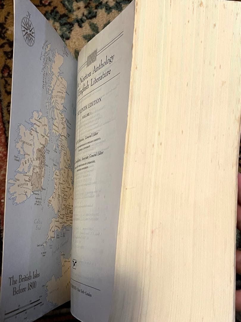 イギリス文学、アメリカ文学、文学批評　　洋書４冊　１冊は新品