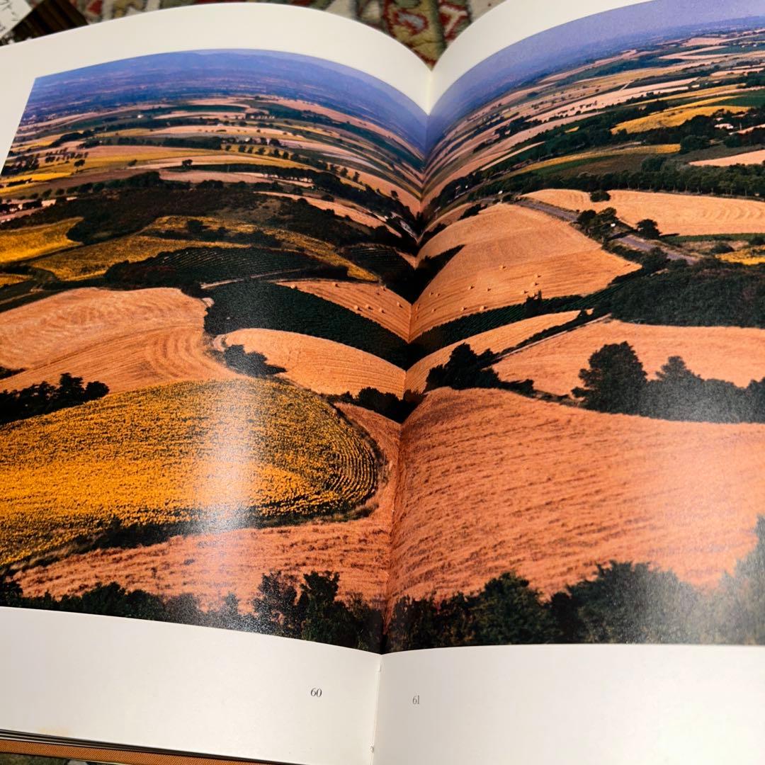 デビットからゴッホに捧げるひまわりの写真集
