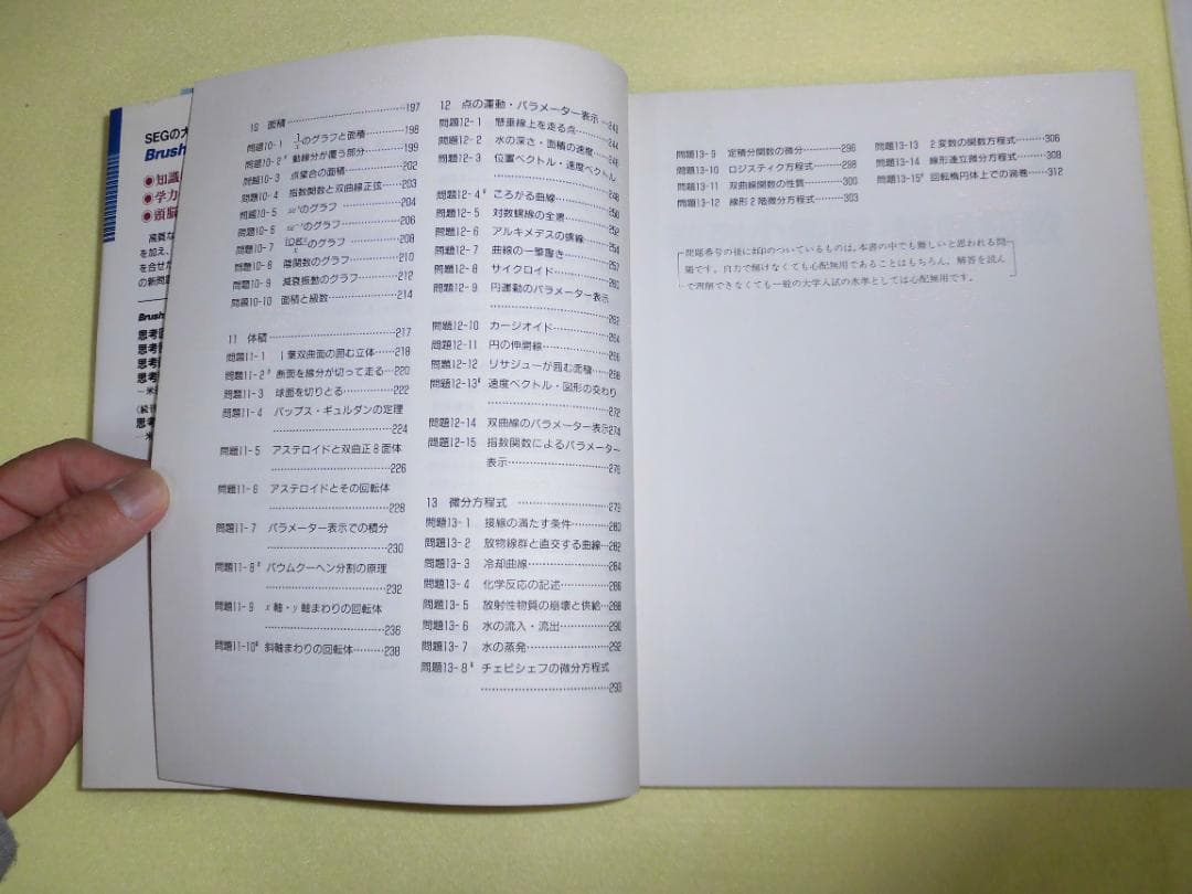思考回路を磨く 微分・積分 問題集 米谷達也 SEG出版　初版