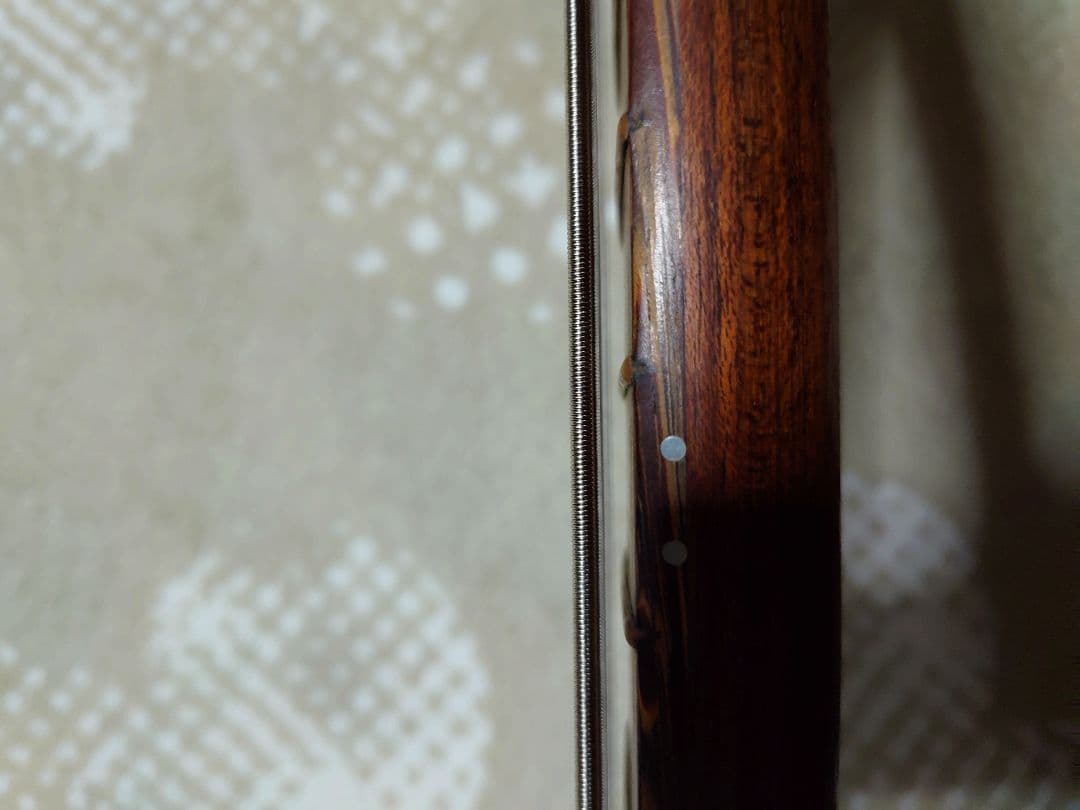 ドイツ製 Warwick Fortress One Modify 2000年製