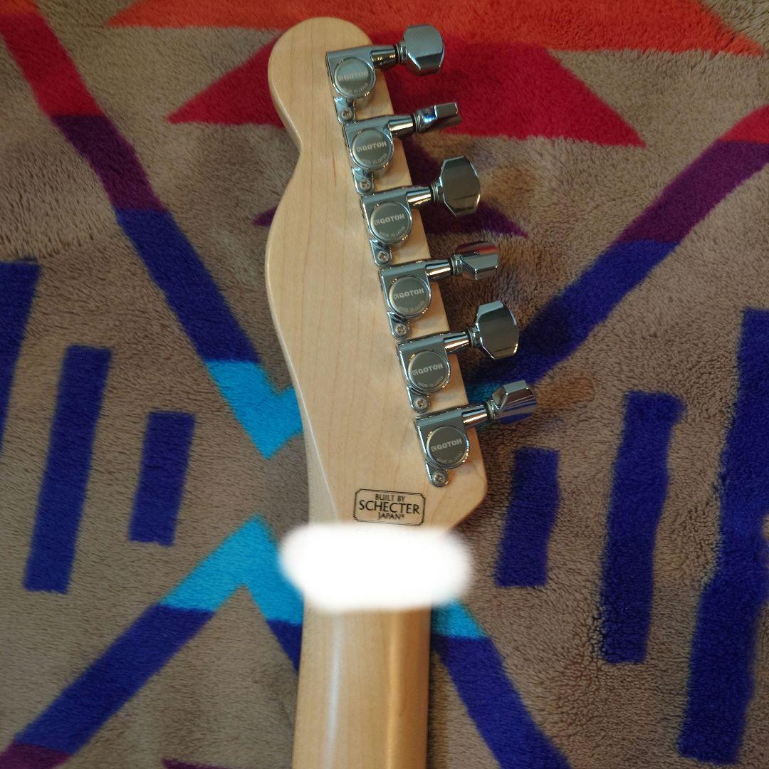 SCHECTER ( シェクター ) PA-LS/TK