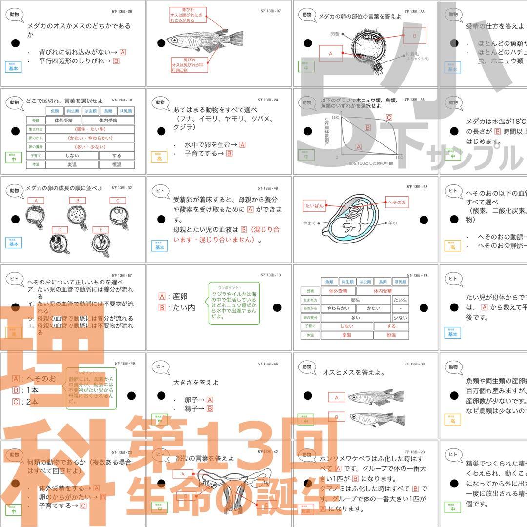 中学受験 暗記カード【5年下 理科11-18回】 予習シリーズ 組分け