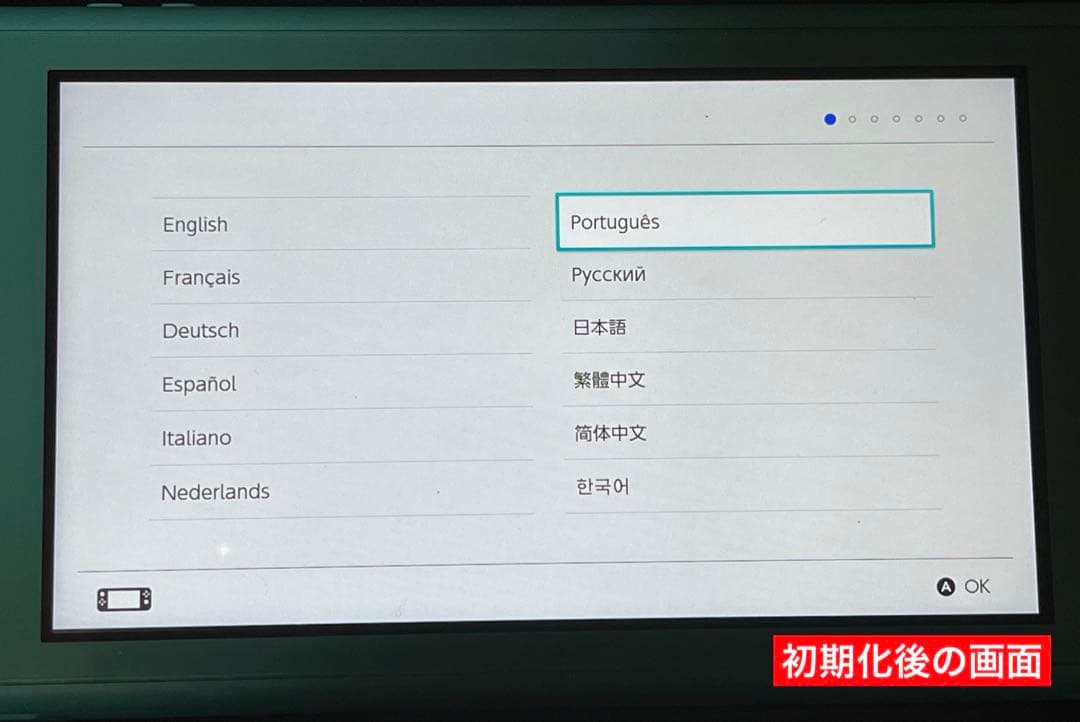 Nintendo Switch Lite ターコイズ 本体 +ケース、カバー