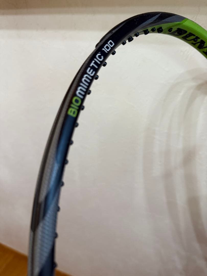 DUNLOP BIOMIMETIC 100【2本セット】