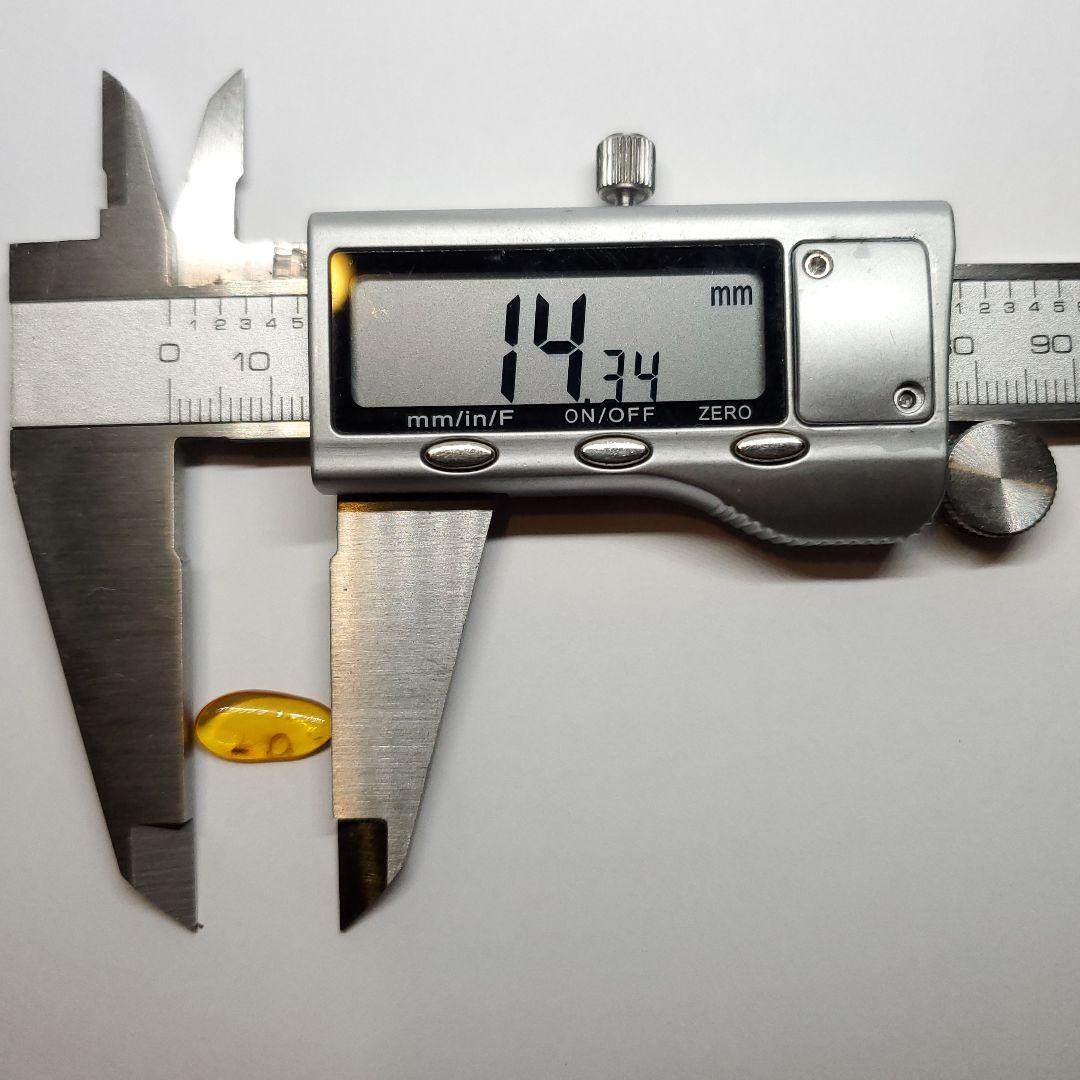 虫入り 琥珀 化石 本物 バルト海産 ケース付き 14.34mm ab238
